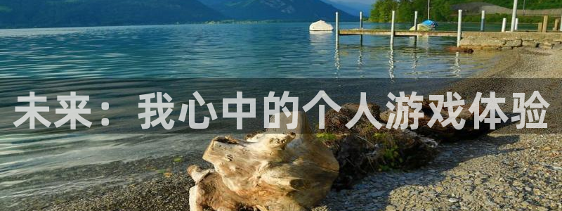 多彩娱乐集团：未来：我心中的个人游戏体验