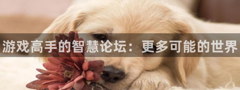 多彩娱乐网址官网：游戏高手的智慧论坛：更多可能的世界