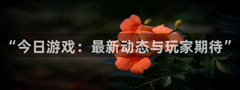 多彩娱乐4主管
