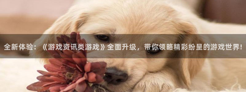 多彩娱乐平台登录：全新体验：《游戏资讯类游戏》全面升级，带你