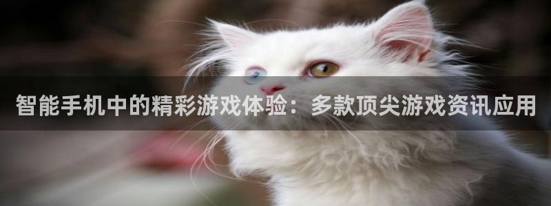 多彩娱乐游戏：智能手机中的精彩游戏体验：多款顶尖游戏资讯应用
