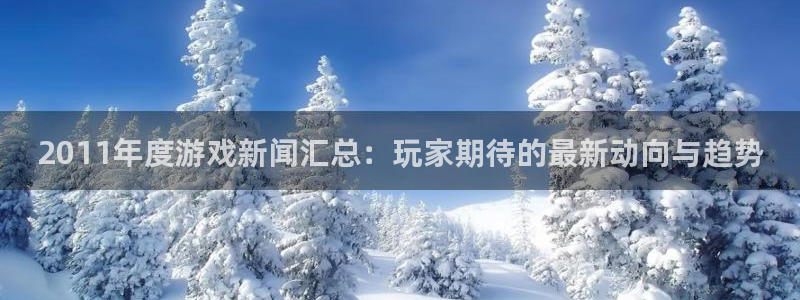多彩娱乐注册官方登录app：2011年度游戏新闻汇总：玩家期