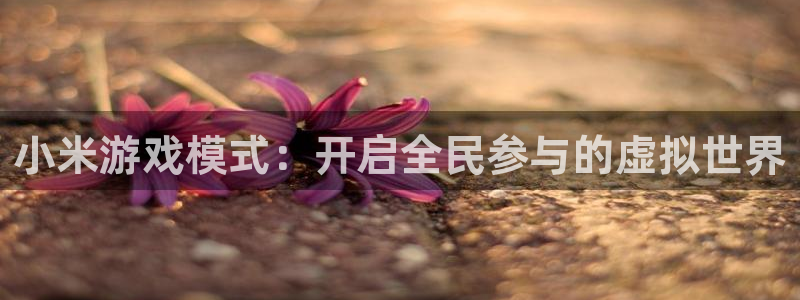多彩娱乐平台官方网站：小米游戏模式：开启全民参与的虚拟世界
