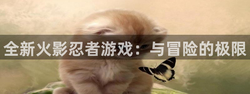 多彩娱乐登陆：全新火影忍者游戏：与冒险的极限