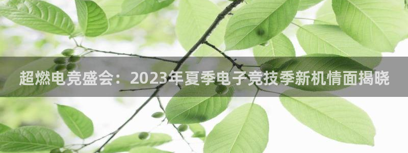 多彩娱乐科技：超燃电竞盛会：2023年夏季电子竞技季新机情面