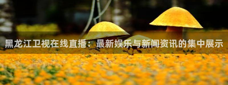 857足球比赛直播