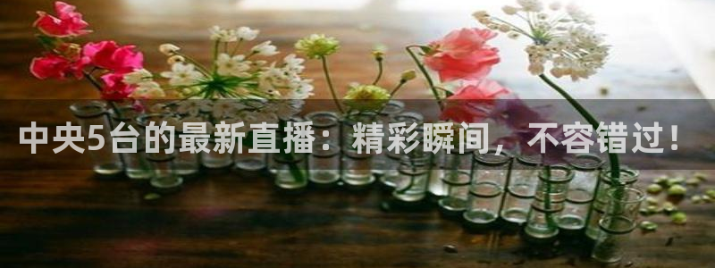 857直播体育在线观看：中央5台的最新直播：精彩瞬间，不容错过！